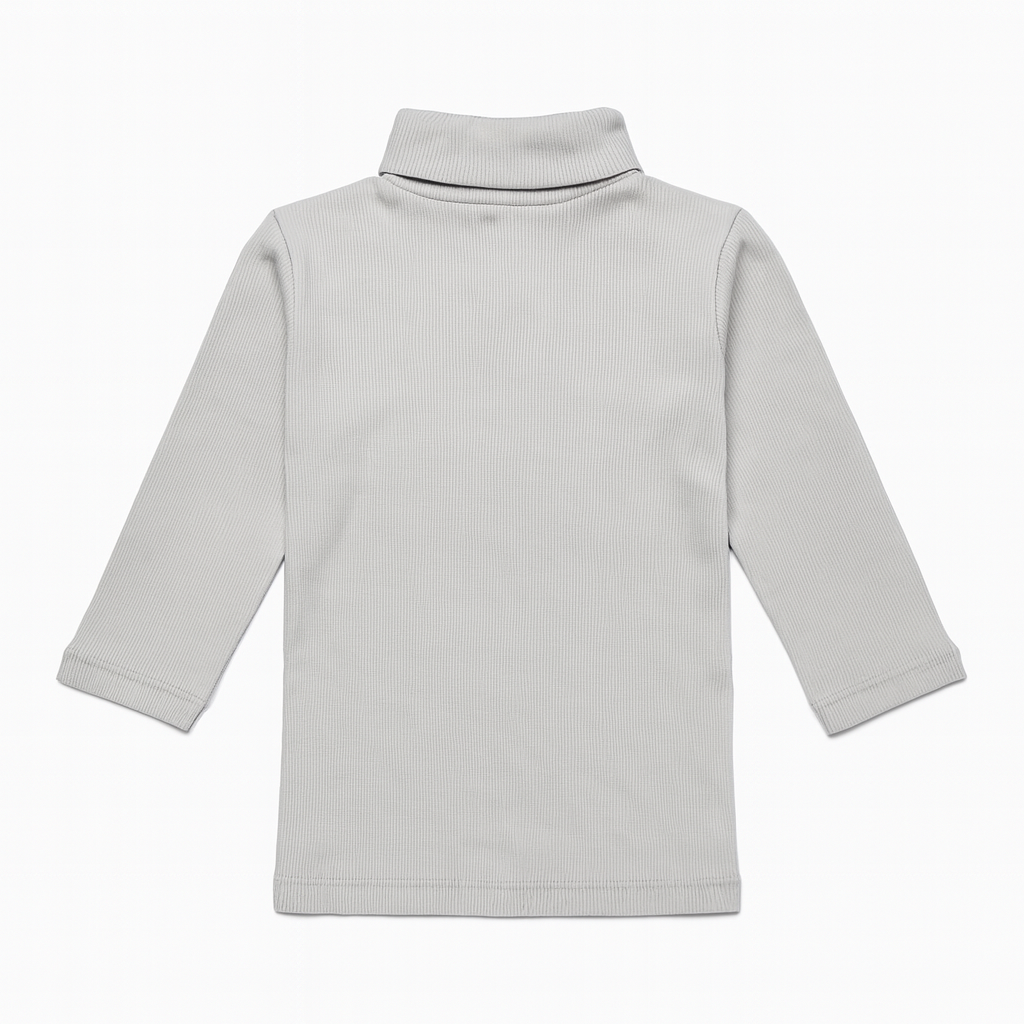 Boy High-Neck Sweater (Gray )