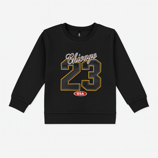 Boys Full Sleeve Fleece Sweatshirt (NO-02)