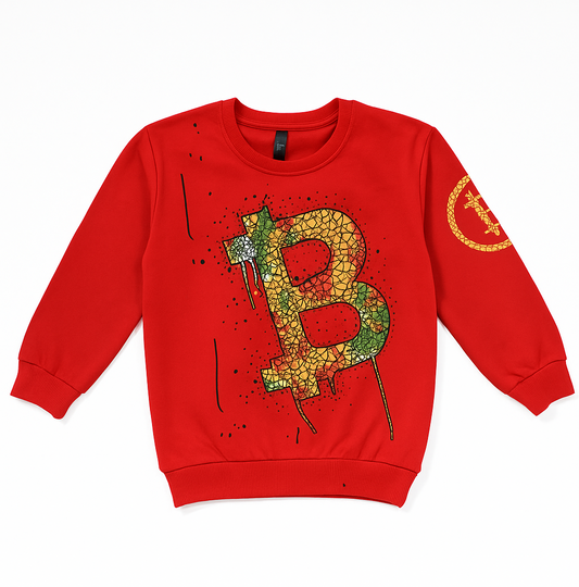 Boys Full Sleeve Sweat Shirt (8106)