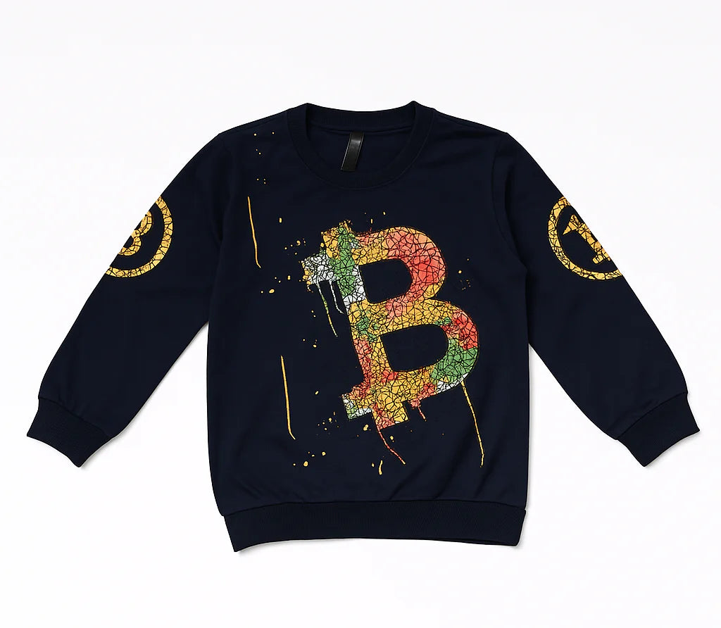Boys Full Sleeve Sweat Shirt (NO-8106)
