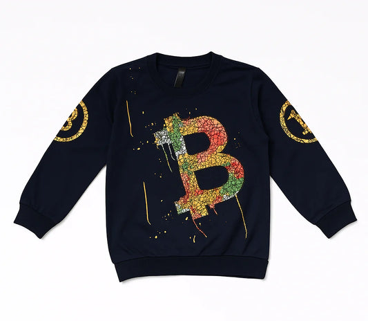 Boys Full Sleeve Sweat Shirt (NO-8106)