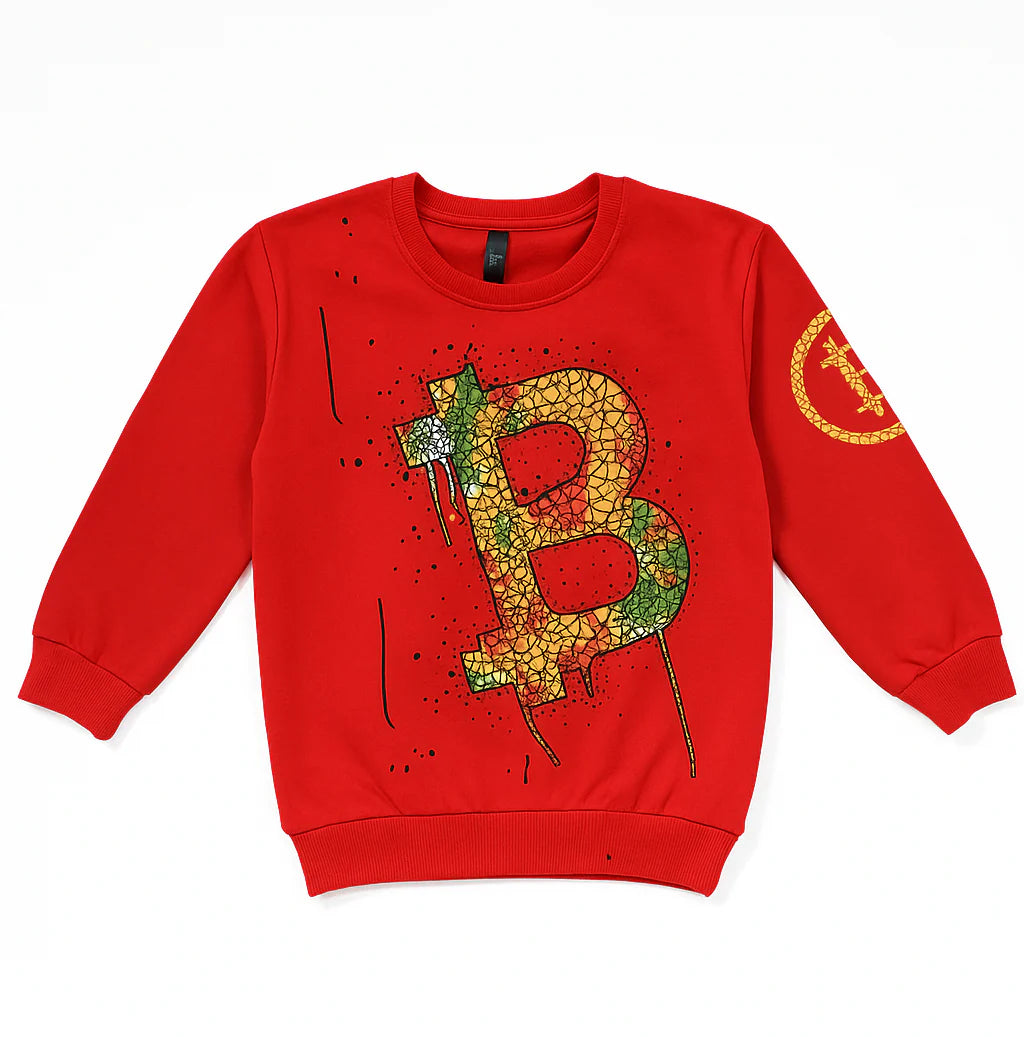 Boys Full Sleeve Sweat Shirt (NO-8106)