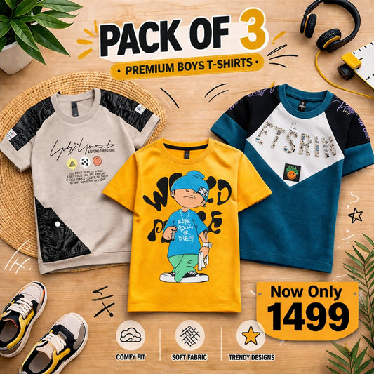Pack of 3 Boys Premium T-Shirts Assorted Colors and Styles