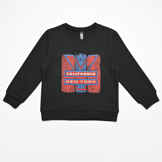 Boys Full Sleeve Fleece Sweatshirt (NO-01)